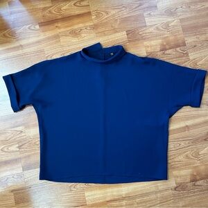 3/$20 Uniqlo Blue Blouse